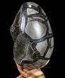 Septarian Dragon Egg Geode - Black Crystals #88187-3